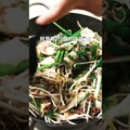 辣味噌拉麵，辛味噌 日本男子的家庭料理 TASTY NOTE - TASTY NOTE