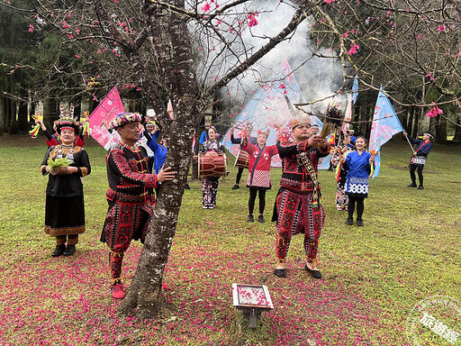 九族櫻花祭開跑，山櫻花和枝垂櫻搶先報到 原來九族櫻花愛呷「褒」，才會開這麼美！ - 旅遊經