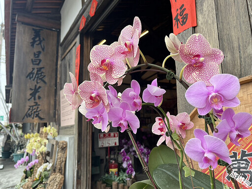 3月台南蜀葵花、木棉花等繁花盛開 國際蘭展也在3月在臺南後壁登場！ - 旅遊經