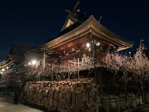 東京都 文京梅花祭 - 太陽網