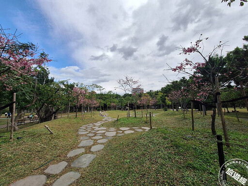 台北賞櫻景點懶人包 還有梅花、海芋、三層崎花海，都可以來一場輕鬆賞花遊 - 旅遊經