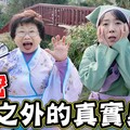 【野苔戲】解密YT以外的真實身份 - 菜苔苔與菜生生