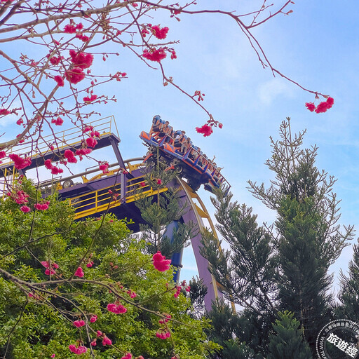 228連假 全台各大主題樂園推優惠，最低0元入園！ - 旅遊經