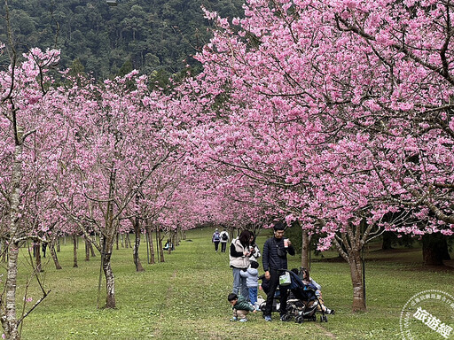 228連假 全台各大主題樂園推優惠，最低0元入園！ - 旅遊經