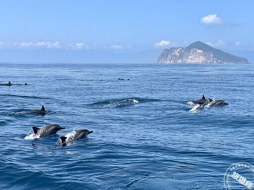 龜山島封島4個月後 3月起開放限額登島 賞鯨豚、賞螢生態旅遊「趣」！ - 旅遊經