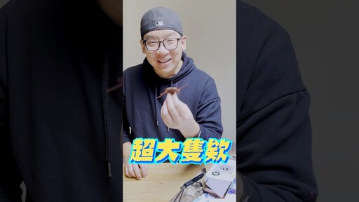 挑戰你心中最大的恐懼 讓公司同事嚇破膽嚇人玩具 蟑螂 小強 喬老師 - 密斯特喬