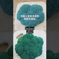 敏感肌可使用的二合一蔬果碗盤清潔劑！安心育兒的好夥伴 日本男子的家庭料理 TASTY NOTE - TASTY NOTE