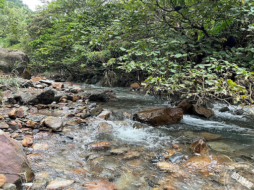 新北農村社區期間限定款 螢火蟲季浪漫登場 - 旅遊經