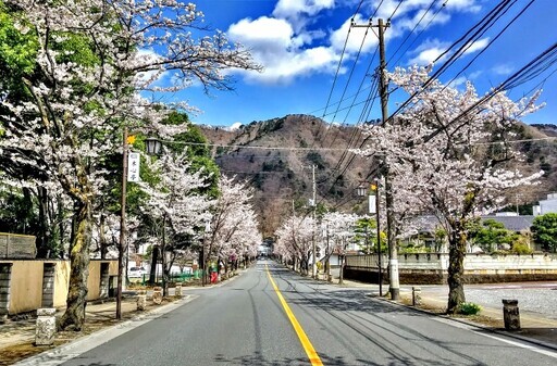 栃木縣日光市賞櫻期間至5月上旬 - 太陽網