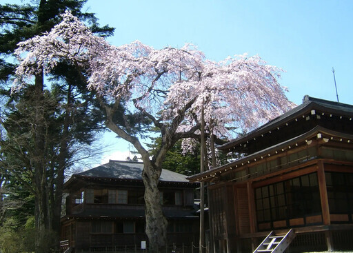 栃木縣日光市賞櫻期間至5月上旬 - 太陽網