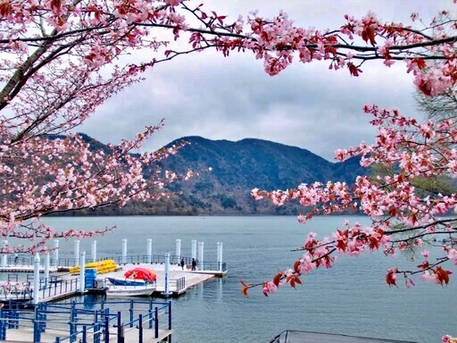 栃木縣日光市賞櫻期間至5月上旬 - 太陽網