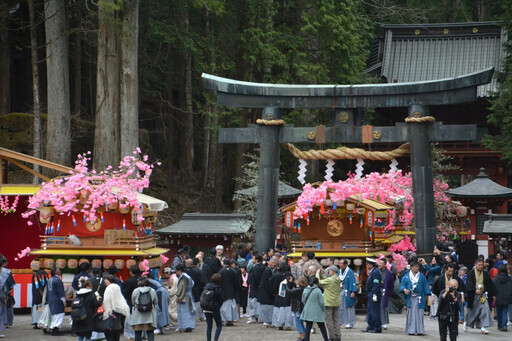 1200多年歷史的“彌生祭” 宣告春天的來臨 - 太陽網