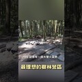 最理想的森林系露營區，小木屋，大焚火區，賣木頭，森之奧露營區 - 營火部落