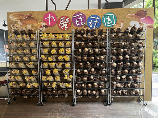 日月潭螢火蟲季 雲品、漢來以及力麗等飯店齊邀參與「螢」火晚會！ - 旅遊經