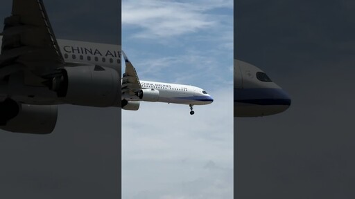 好美的 A321neo中華航空 A321-271NX - Joe