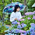 Felissimo公司繡球花傘攝影比賽in台灣 - 太陽網