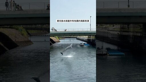 鹿兒島水族館外有免費的海豚表演！平日10：3012：3014：30，週六日及國定假日11：3013：3015：00。 - Joe