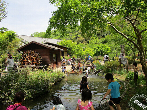 東京原名叫「這個」 在繁華都市中也能賞螢，推薦三大賞螢勝境！ - 旅遊經