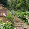 繡球花季與文化祭典輪番登場，日本栃木驚豔這一夏 - 太陽網