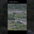台灣思源埡口，冬天賞雪，夏天避暑的好地方 - 營火部落