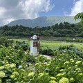 陽明山竹子湖 頂湖環狀步道賞繡球花 - 太陽網