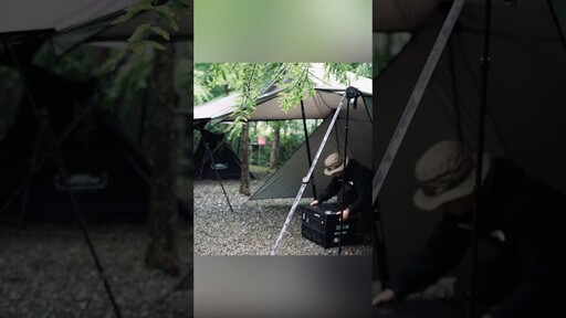 夏天雨後茂密衫樹林露營 - 營火部落