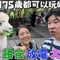 【5歲到75歲都可以玩的行程】一趟有美食有餵食可以放電又住飯店的影片 宜蘭旅行懶人包 兩天一夜 - 菜苔苔與菜生生