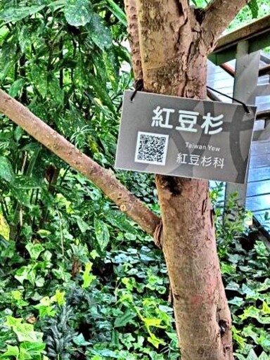 臺北典藏植物園遇見紅豆杉 - 太陽網