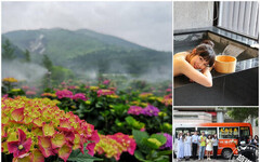 「台灣好行~北投-竹子湖線」 6款優惠套票開賣 最低200元 - 旅遊經