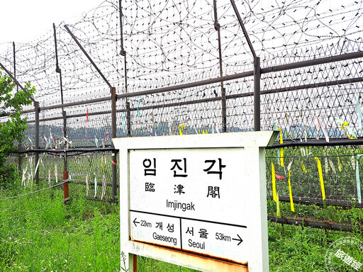 走進DMZ：韓戰傷痕與和平願景的交織之地 - 旅遊經