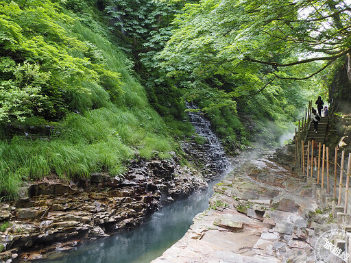 秋田犬的故鄉──日本秋田 蒐羅秋田十大必遊旅遊特色！ - 旅遊經