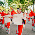 此生必訪四國夏日祭典──高知夜來祭將於8月登場，感受近二百支舞團熱力演出 - 旅遊經