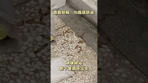 網購開箱跑出數十隻蟲！ - 營火部落
