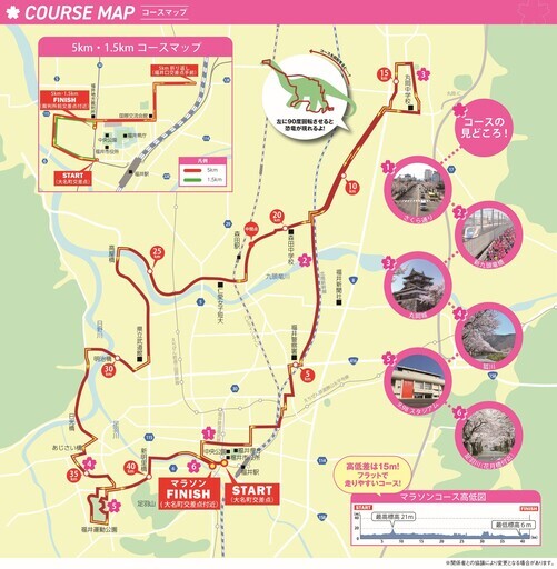 奔向櫻花終點線 2026福井櫻花馬拉松開放海外跑者報名中 - 太陽網