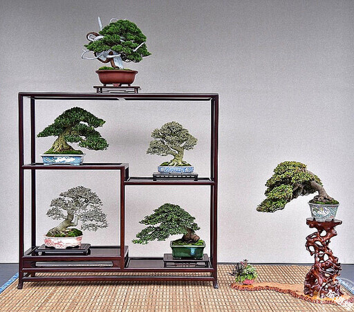 雙十佳節限定，活動僅有四天！ 士林官邸漢風盆景展，展出百年漢風盆景！ - 旅遊經