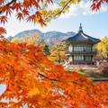 易遊網「暢秋旅遊節」上線 999元享日韓機票、饗食天堂餐券99元！ - 旅遊經