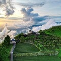 21條親子友善步道邀你「步入嘉境」 - 太陽網