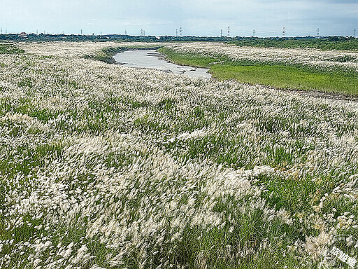 臺南教師節旅遊攻略報你知，卡比胖拉 × 笑笑羊 × 九月雪 × 黑琵季 × 孔廟文化節活動多元！ - 旅遊經