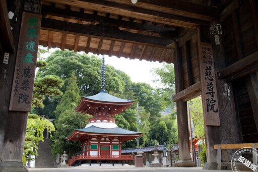 日本高野山此時「楓」景最美 蒐羅周邊10大必訪景點! - 旅遊經