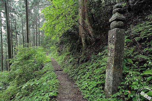 日本高野山此時「楓」景最美 蒐羅周邊10大必訪景點! - 旅遊經