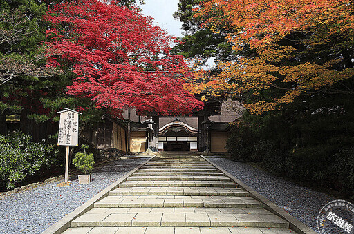 日本高野山此時「楓」景最美 蒐羅周邊10大必訪景點! - 旅遊經