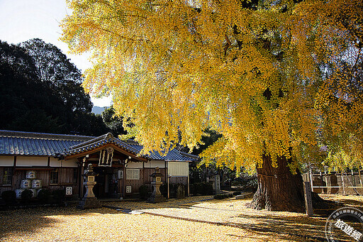 日本高野山此時「楓」景最美 蒐羅周邊10大必訪景點! - 旅遊經