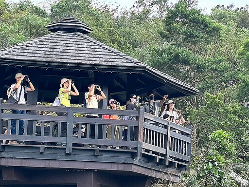 走進候鳥與沙灘植物祕境 邀您來場田寮洋小旅行! - 旅遊經