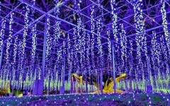 足利花卉公園『光之花庭』今年新增香氛空間演出 - 太陽網