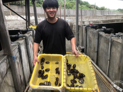 貢寮鮑養殖故事「鮑」你知 澳底漁港「貢饗鮮味」活動好康在「這裡」! - 旅遊經