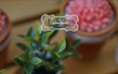 2025士林官邸菊展 賞菊花、享受美食 - 太陽網