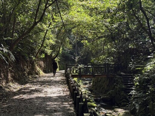 藏身都會一隅的秘境 虎山溪步道 - 太陽網