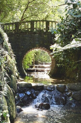藏身都會一隅的秘境 虎山溪步道 - 太陽網