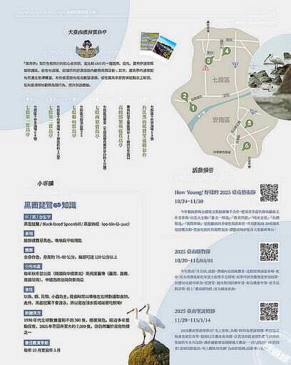 與鳥兒相約在冬季 台南賞鳥6大目的地推薦！ - 旅遊經