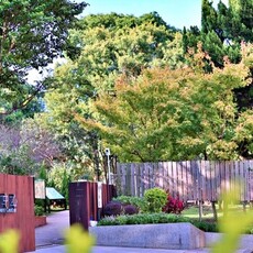 陽明山花卉試驗中心秋日小旅行 - 太陽網